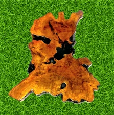 29x25''Unique Olive Root Wood Slab,COVERED 2 LAYER RESIN,Wood Working,Wall Decor