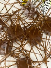 Carolina Pumpkin matching wigglers Rattlers 5 pack dice No salt bin 10