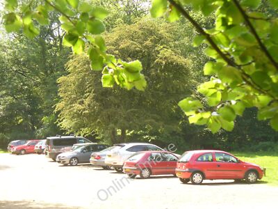 Foto 6x4 Pitch Hill Parkplatz Peaslake Einstiegspunkt in den verletzten Wald. This c2010