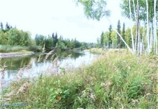 GORGEOUS 42.43 ACS ALASKA RARE 1,905 FT RIVER FRONT & POND GREAT FISHING/HUNTING