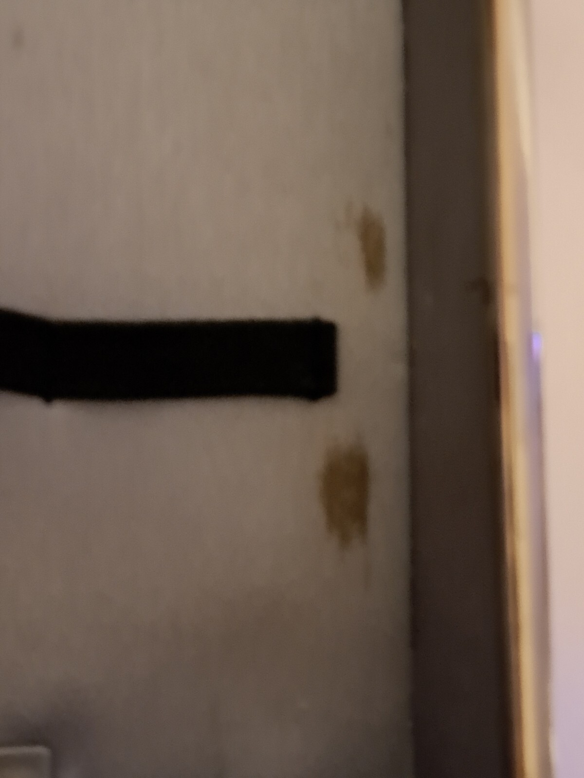 Picture 24 of 24