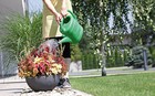 Plastic Watering Can 3/5/8/10/14 Litres Lightweight Garden Plants Flowers Green