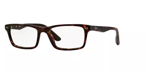 Ray ban store eyeglasses rx5288
