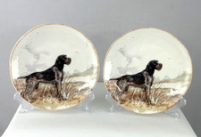 Platos de ensalada Southern Living Southern Tails 2 piezas puntero de pelo duro 8,5"