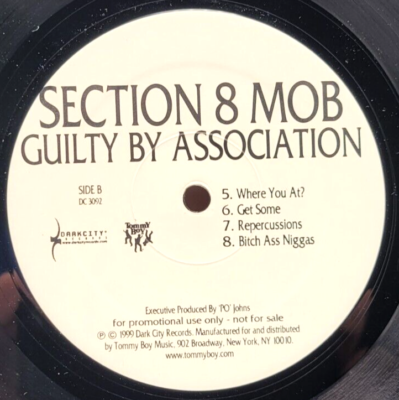 SECTION 8 MOB レア皿 SECTION 8 MOB - GUILTY BY ASSOCIATION
