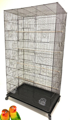 55'' X-Large Tight Bars Flight Parakeet Multiple Canaries Gliders Bird Breed Cage