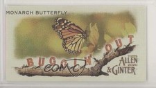 2020 Topps Allen & Ginter's Buggin' Out! Minis Monarch Butterfly #MBO-2 9r7