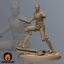 Shattered Hero Broken Lord Star Wars Legion Shatterpoint 3D Printed Mini