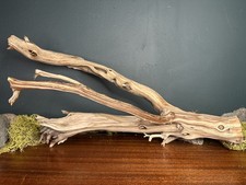 Large 19 Manzanita Driftwood Branch, Aquarium, Terrarium, Aquascape ,Home Decor