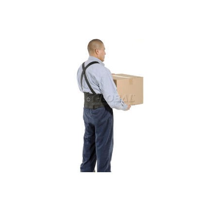 Ergodyne 11093 Ergodyne® Pro Flex® 1650 Economy Back Support With ...