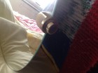 Bild 3 von 4
