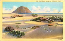 Sand Dunes along the California Coast CA Line...