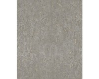Vliestapete 538335 Curiosity Natur Grau