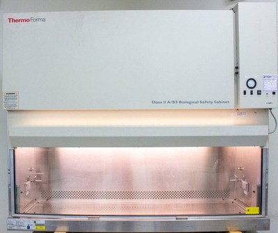 Thermo Forma 1248 Class II A/B3 Biological Safety Cabinet 6-ft Mode (3320760584)