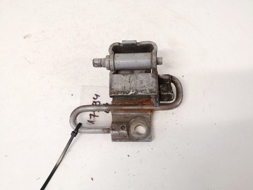 Lower door hinge