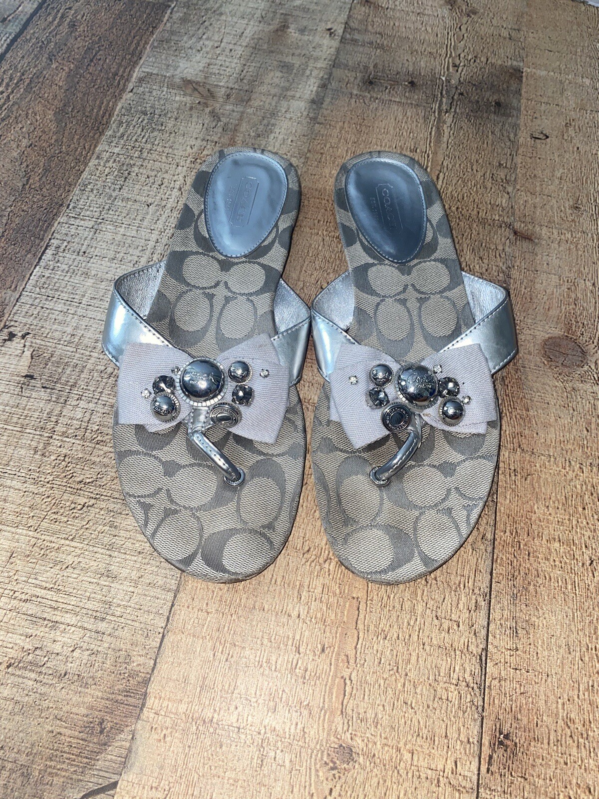 silver coach slides