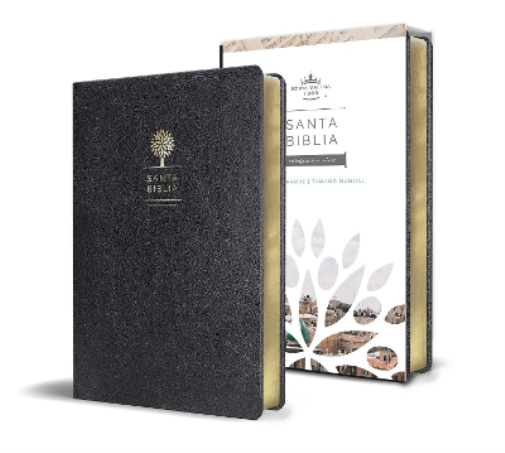 Reina Valera Re Biblia Reina Valera 1960 letra grande. Símil piel co (Tascabile)