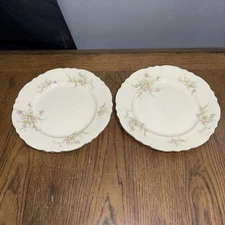 Set Of 2 Vintage Homer Laughlin Rose-  Scalloped Dessert Plate 10" W/Gold Trim
