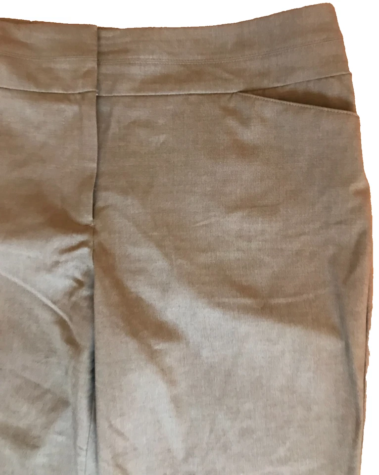 Ann Taylor Pants Loft Sz 10 Curvy Hip Thigh Boot Leg Trousers Beige 34W 32L - Image 4 of 4