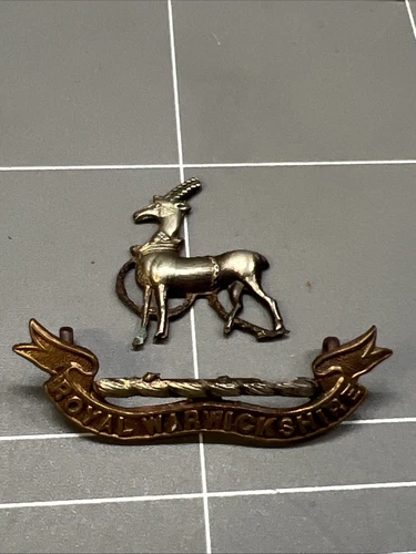 VINTAGE WW1 BRITISH BADGE ROYAL WARWICKSHIRE ENGLAND WAR MILITARY