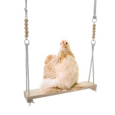 Chicken Toys Adjustable Height Wooden Chicken Swing for Coop Natural Safe