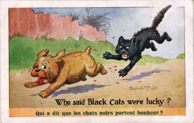 CPA AK Wer sagte, schwarze Katzen hätten Glück? DOGS (727625)