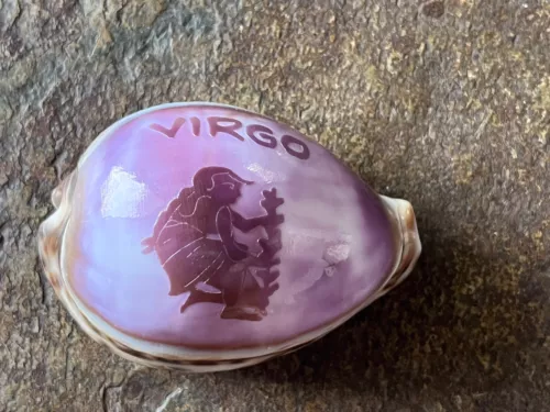 Hand Carved Tiger Cowrie Shell Virgo Zodiac Sign Vintage Seashell Astrology
