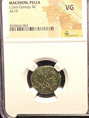 #C190 NGC VG Macedonia,Pella 187-31 BC.Athena Helmeted,Grazing Bull Coin