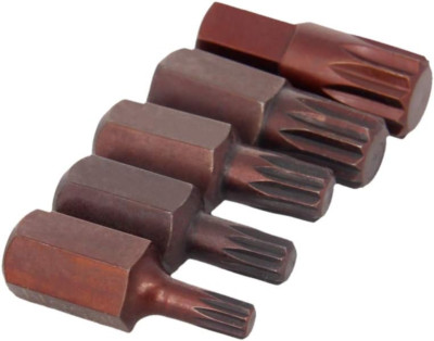 Torx Screwdriver Bits, 5 Piece Set 12 Point Spline Head Screw Driver Bit, with 1