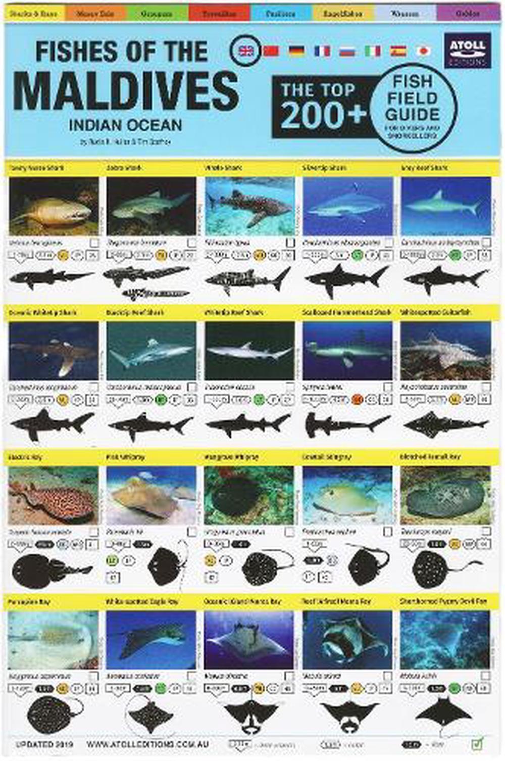 Maldives Fish Field Guide "Top 200+": Indian Ocean Field Guide by Tim Godfrey (E
