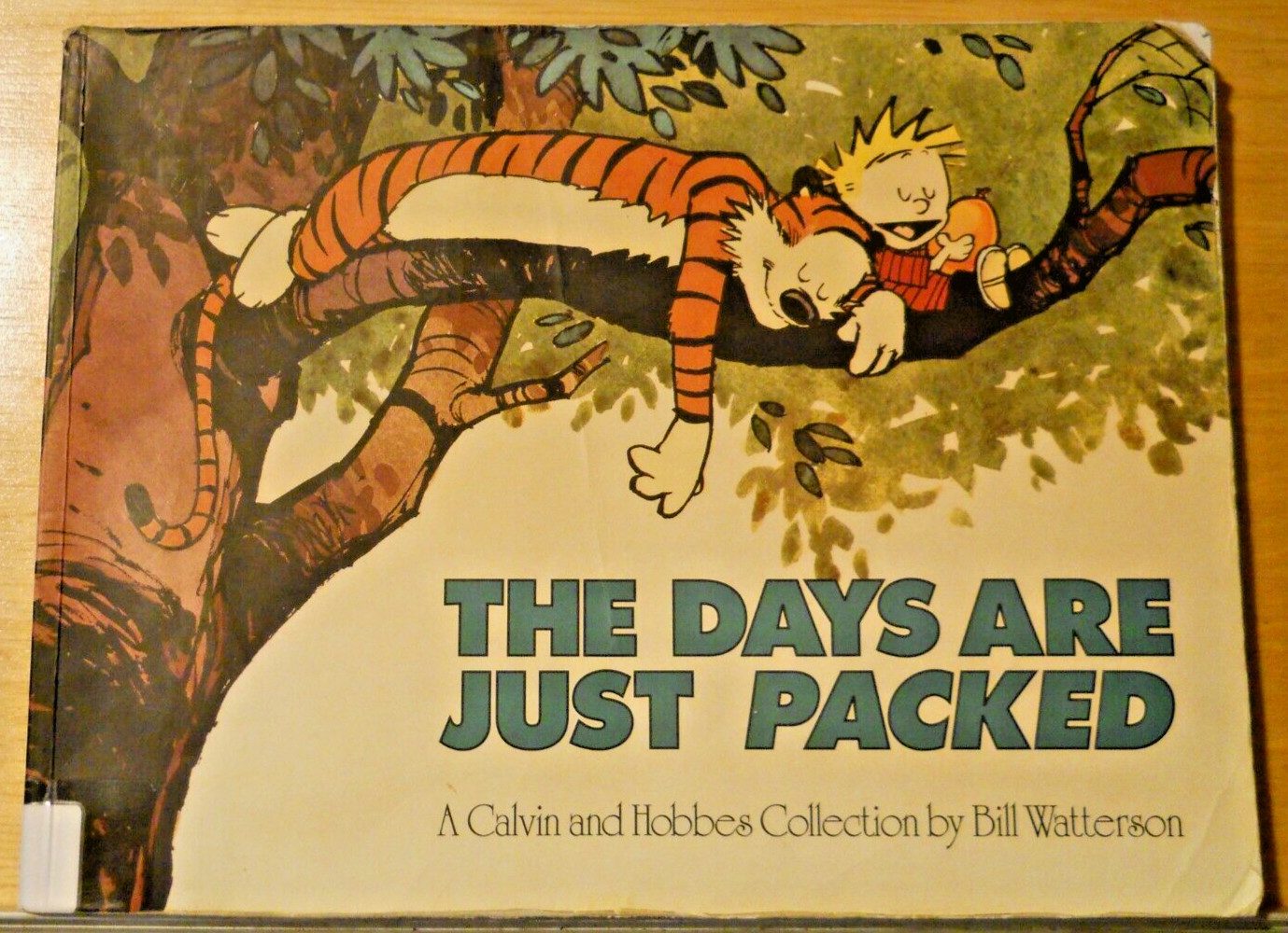 The Days Are Just Packed By  Bill Watterson Paperback 1993