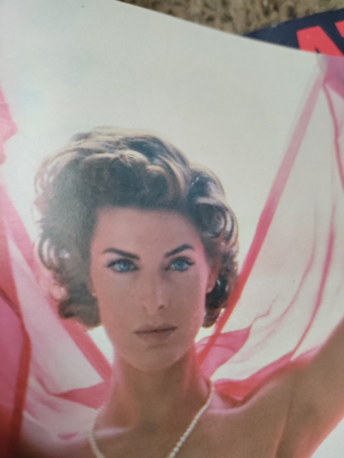 Playboy Mag Nov 1992 Joan Severance Red Shoe Diaries, Stephanie Adams