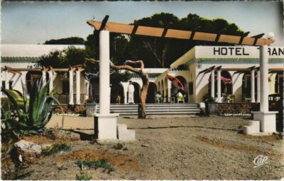 CPA AK ALGERIA TENES L'Hotel Transatlantique (1089504)