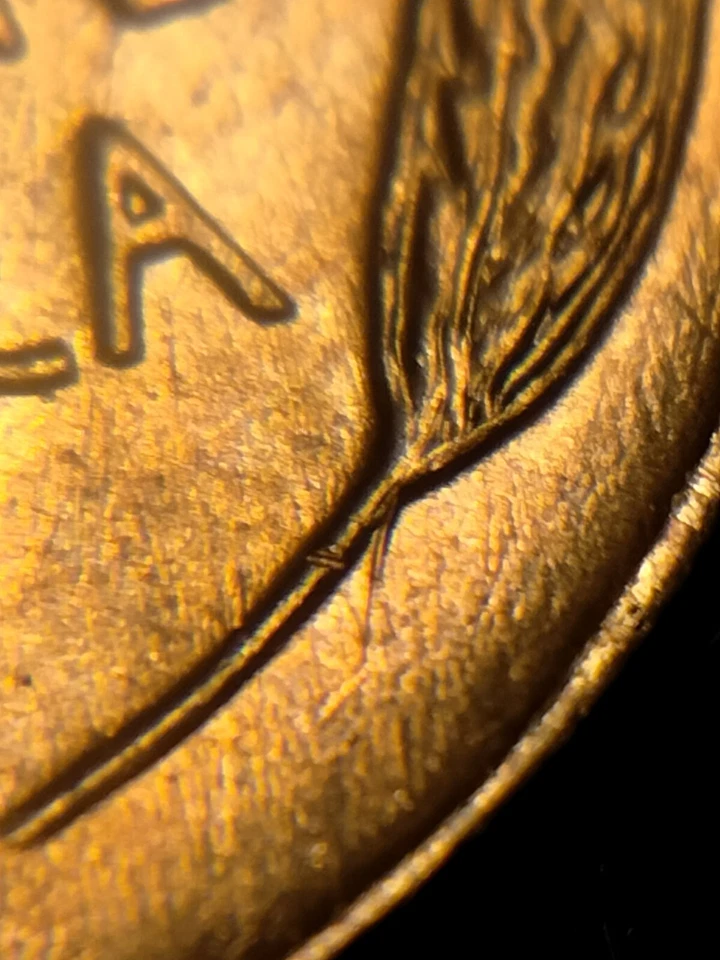 1957 P Lincoln Shield Cent Double Struck And Die Clash - Image 4 of 4