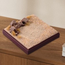 1:64 Diorama del deserto selvaggio Decorazione per la casa Modello di scena