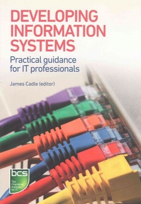 Developing Information Systems : Practical Guidance for It Professionals, Pap...