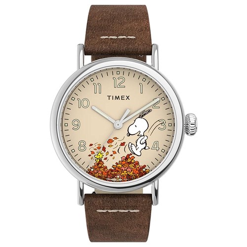 Timex Standard x Peanuts Snoopy Autumn Special Edition 40mm Watch TW2U86200 - 第 1/6 張圖片