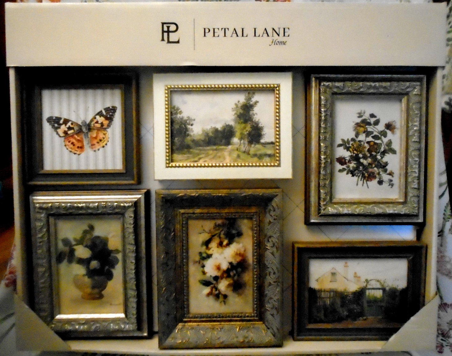 New 6 Pk Set Petal Lane Contemorary Decor Framed Wall Art Floral Countryside ++