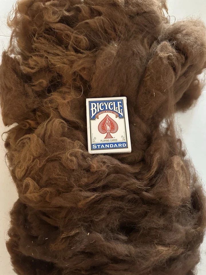 11.1oz Llama Fleece Cinnamon Brown Natural Spinning Fiber (C5) - Image 2 of 3