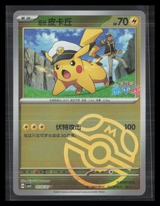 Master Pikachu | eBay
