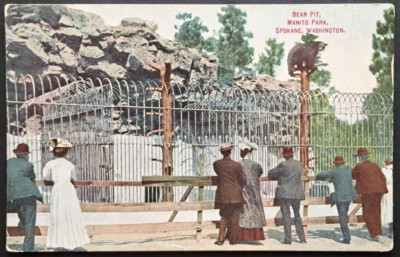 Antique Spokane WA Manito Park Bear Pit Postcard Early 1900s Unused