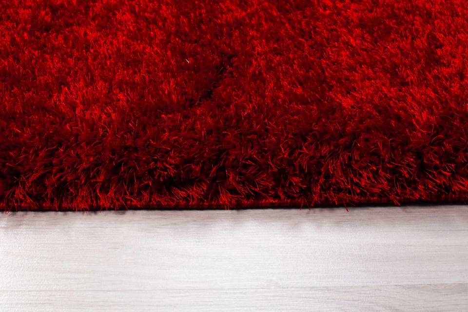 Luxury Fluffy Rug Ultra Soft Shag Carpet For Bedroom Living Room Big Area Rugs - Image 4 of 4