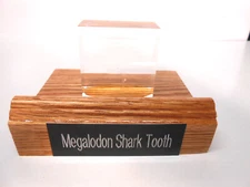 Red Oak & Acrylic Display Stand for Megalodon Shark Tooth Made in USA
