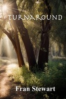 Turnaround Fran Stewart Taschenbuch Englisch 2024 My Own Ship Press