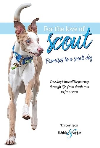 For the love of Scout: Promises to a small dog-Tracey Ison