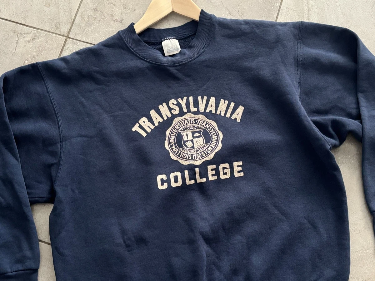 Sweat Vintage Homme XL Bleu, Motif Oiseaux Et Montagnes - Made In USA Années 80/90, Délavé