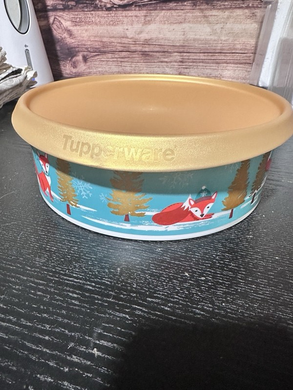 Tupperware SNOWFALL SWEETIES CHRISTMAS HOLIDAY COOKIE/SNACK CANISTER 8676a-2 Fox