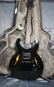 Epiphone Dot Case | eBay