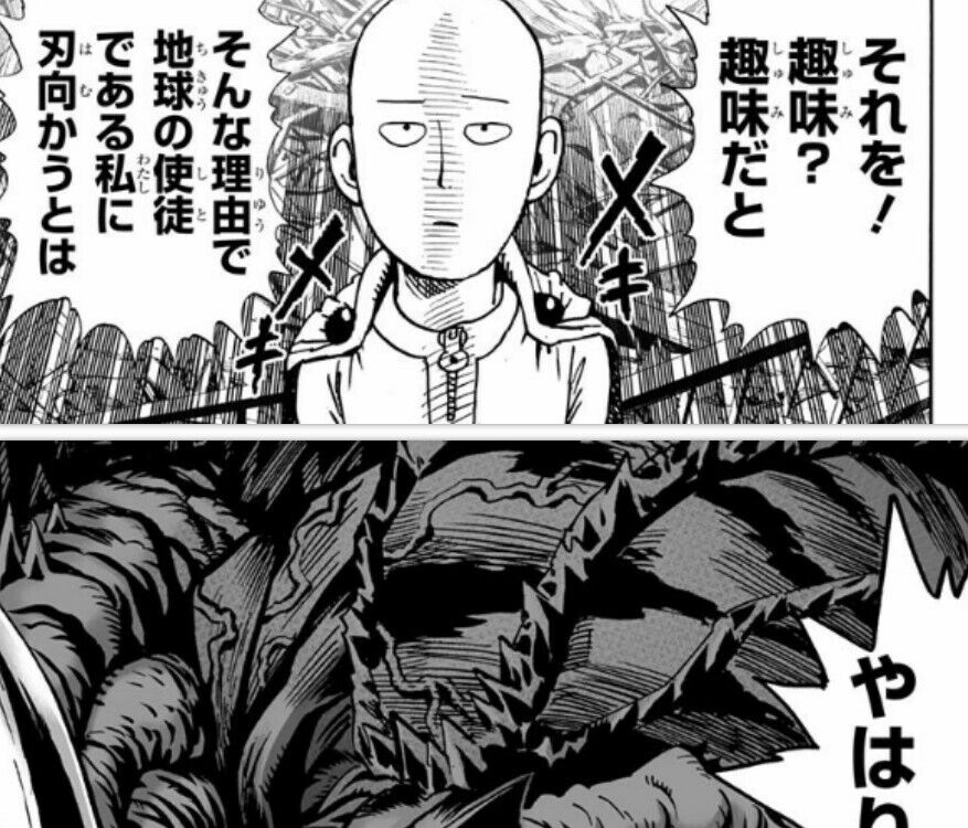 Onepunch Man (Manga)