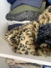 Bild 11 von 19